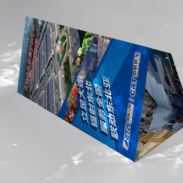 大连现代农业产业中心三折页设计